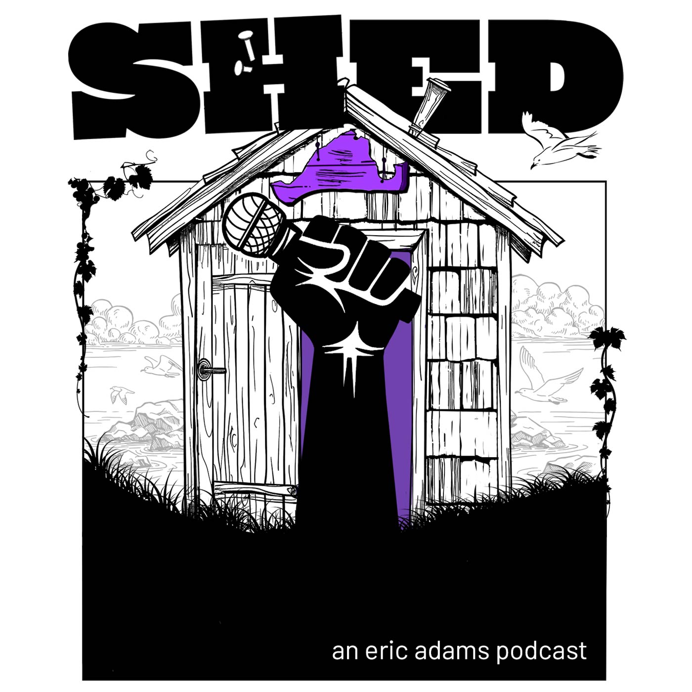 mvyradio Shed podcast